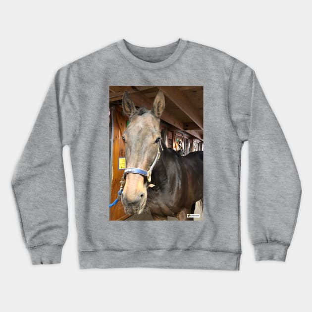 Runner Crewneck Sweatshirt by SunshineHorses